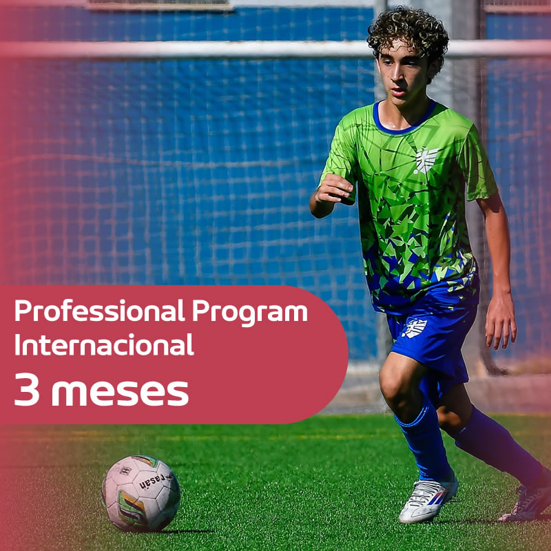 Banner Professional Program Internacional 3 meses Peñafort Pago 4  ESTUDIOS